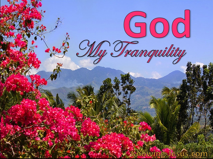 God, My Tranquility (devotional)02-17 (blue)